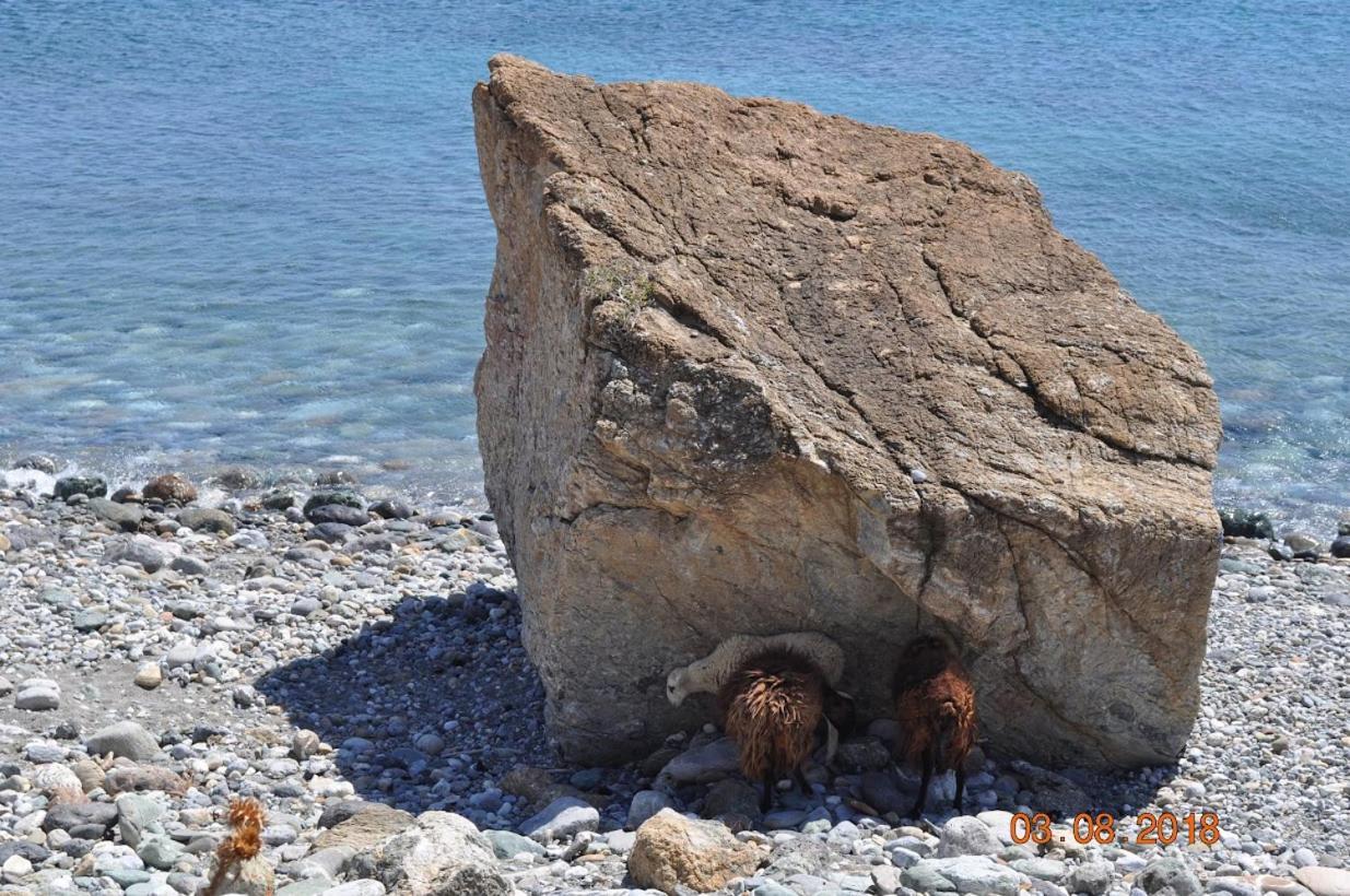 Island Villa Agia Galini Exteriér fotografie