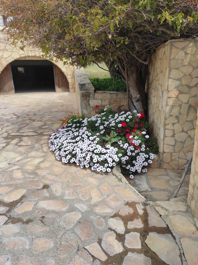 Island Villa Agia Galini Exteriér fotografie