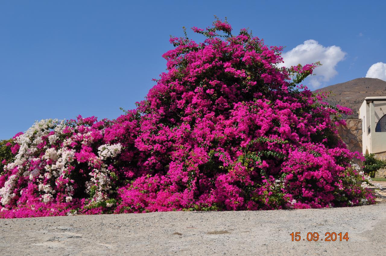 Island Villa Agia Galini Exteriér fotografie